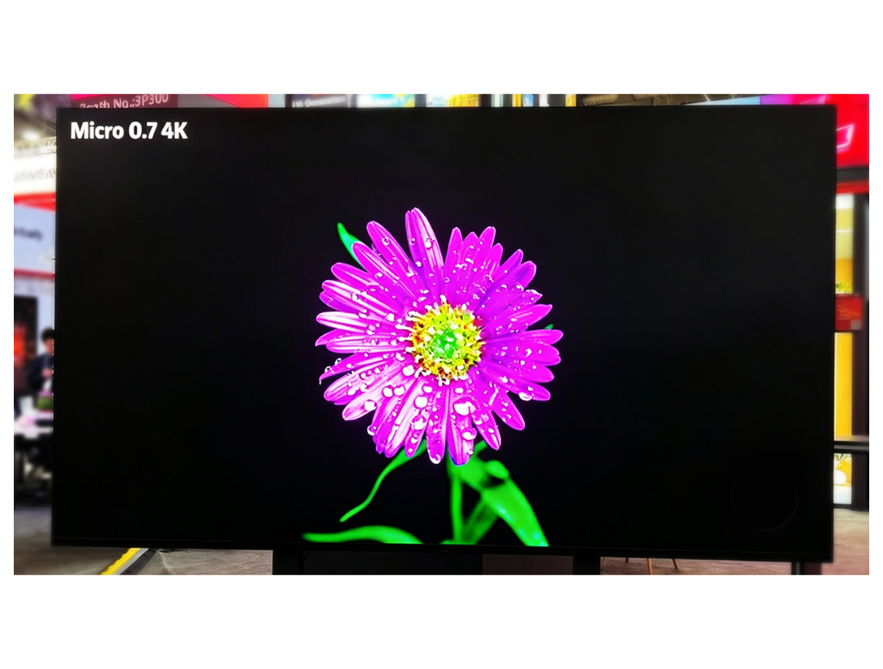 Supplier application reference: a large indoor display showing flowers; project and model identity unverified.