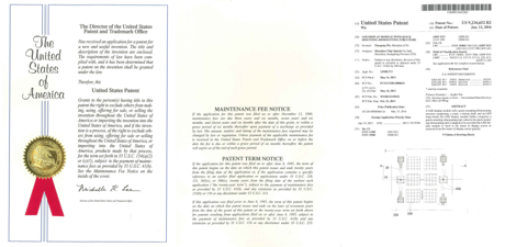 Document preview for LED Display Module with Quick Mounting-Dismounting Structure (US9234652B2)